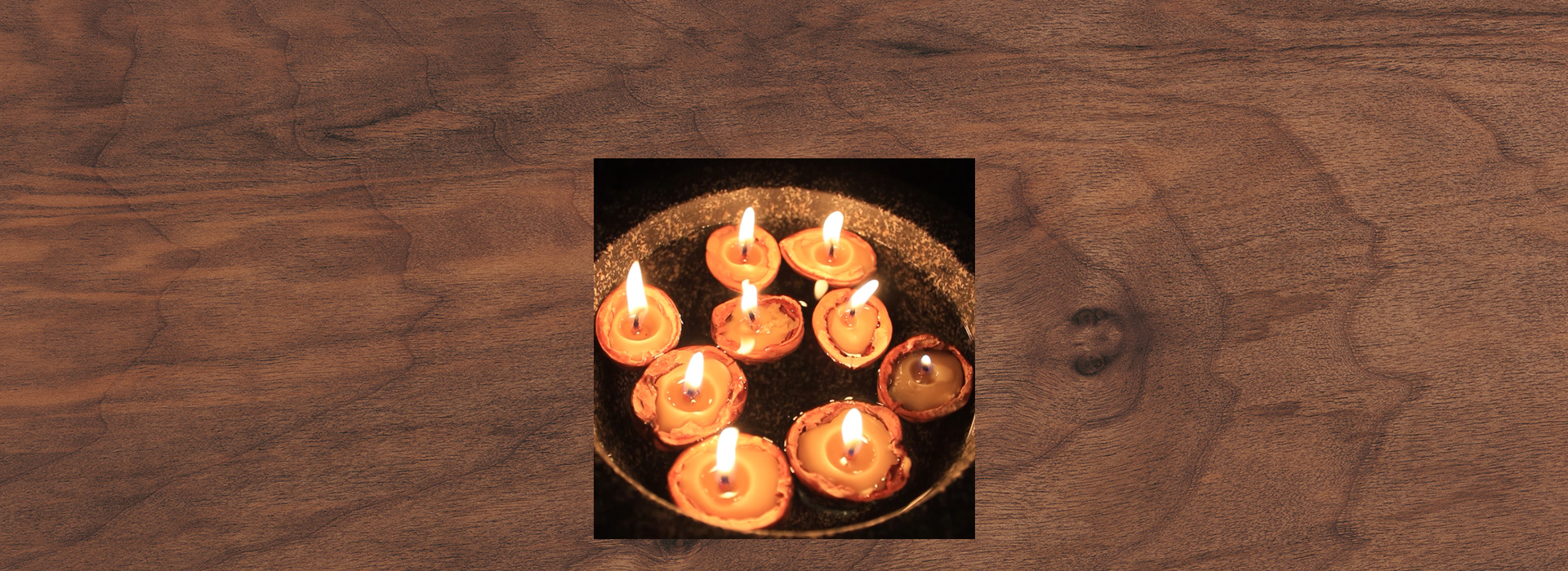 Nussbaum - Walnussschiffchen